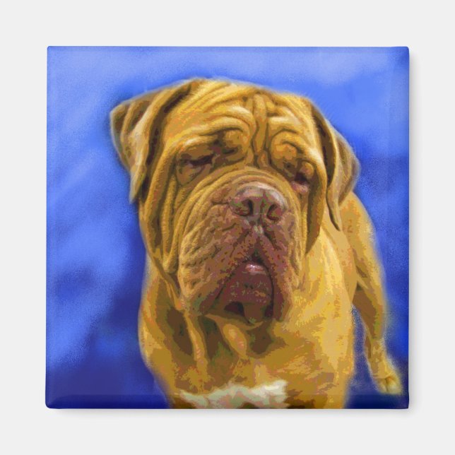 Dogue de Bordeaux Magnets (Front)