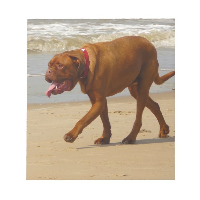 dogue de bordeaux notepad (Front)