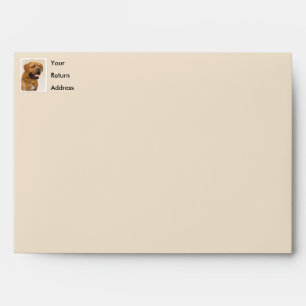 Dogue de Bordeaux Painting - Cute Original Dog Art Envelope