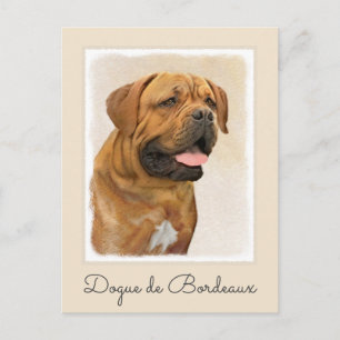 Dogue de Bordeaux Painting - Cute Original Dog Art Postcard