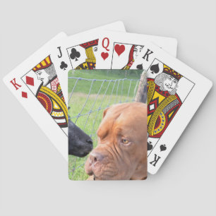 Dogue de Bordeaux Playing Cards