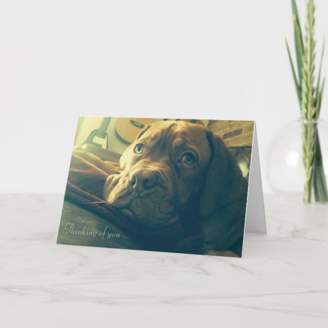 Dogue de Bordeaux Thinking of you Card (Front)