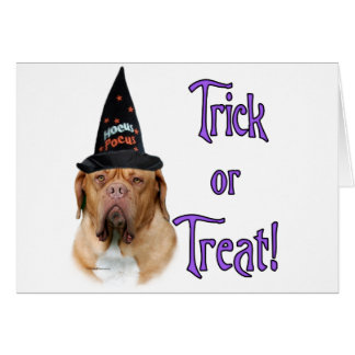 Dogue de Bordeaux Trick