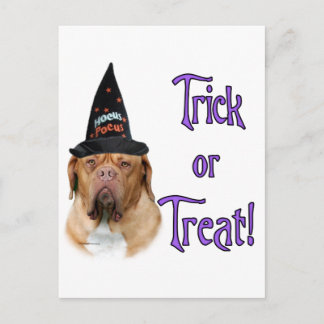 Dogue de Bordeaux Trick Postcard