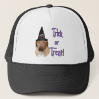 Dogue de Bordeaux Trick