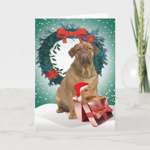 Dogue De BordeauxChristmas Gift Cards
