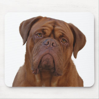 Dogue de Bourdeaux Mouse Mat