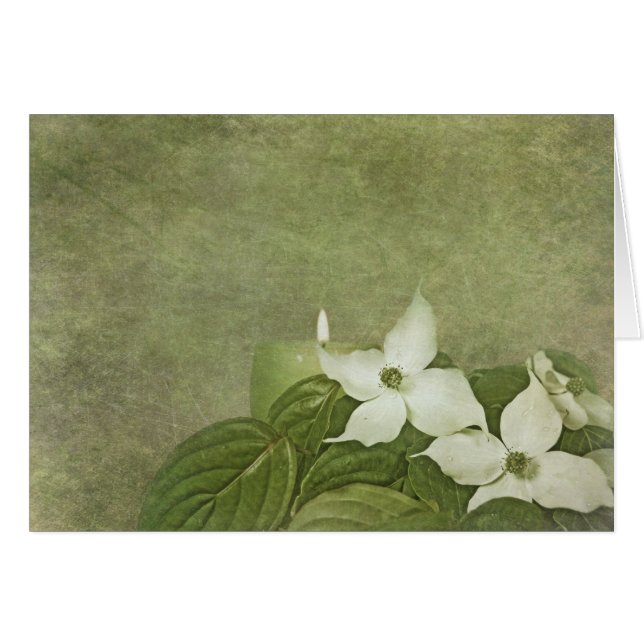 Dogwood (Front Horizontal)
