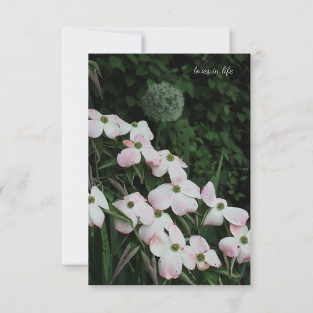 Dogwood & Allium Card (Front)