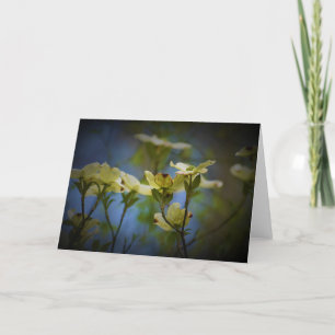 Dogwood Blossom, card