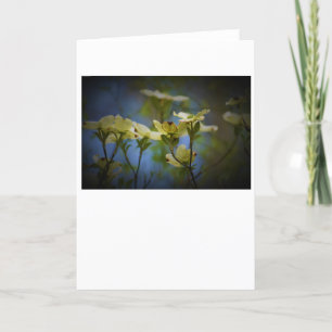 Dogwood Blossom, card