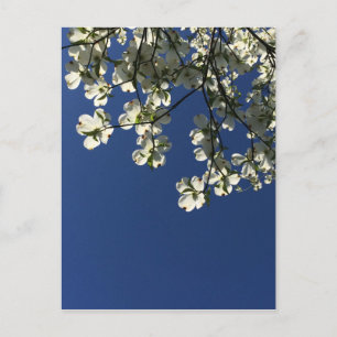 Dogwood Blossom Cards