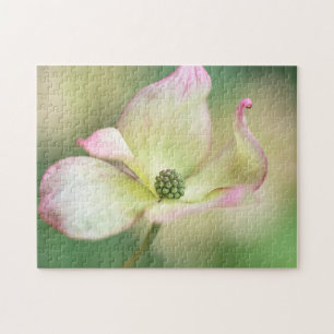 Dogwood Blossom Cornus Kousa 'Miss Satomi' Jigsaw Puzzle