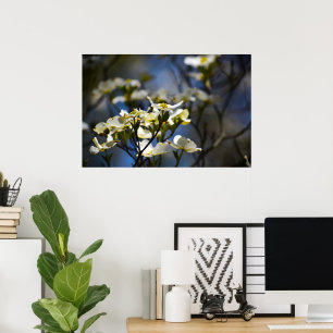 Dogwood Blossom, Poster