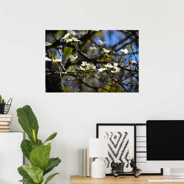 Dogwood Blossom,  Poster (Home Office)