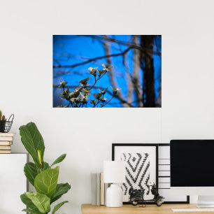 Dogwood Blossom, Poster