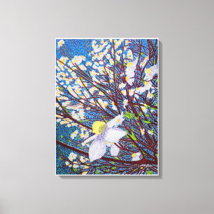 Dogwood Blossoms Canvas Print