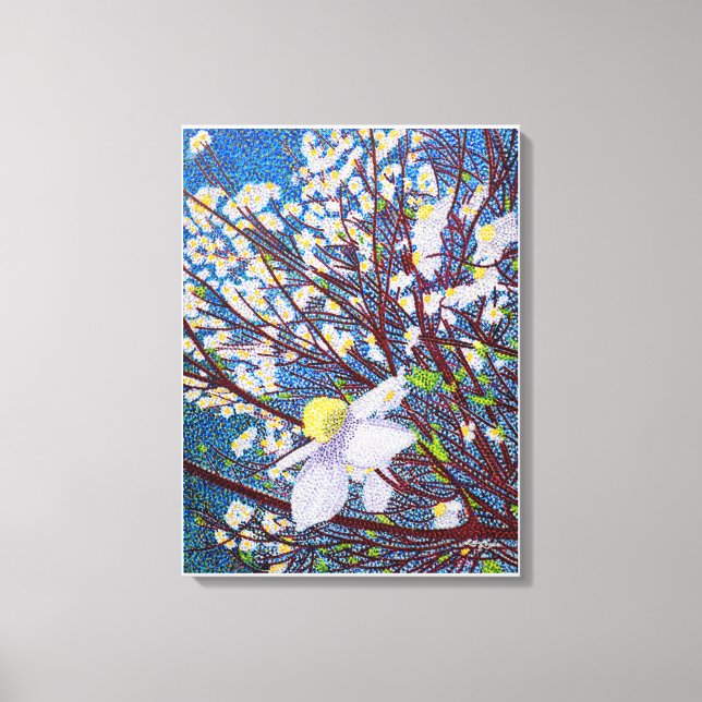 Dogwood Blossoms Canvas Print (Front)
