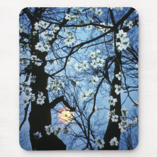 Dogwood blossoms with sunset mouse mat
