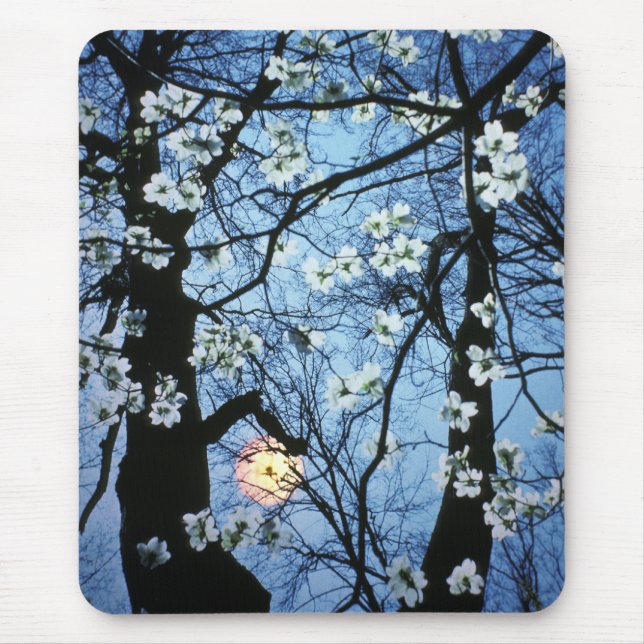 Dogwood blossoms with sunset mouse mat (Front)