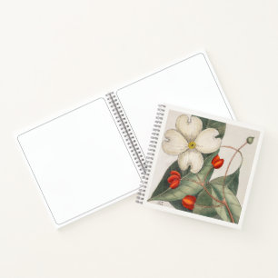 Dogwood Botanical 18th Century Art Sketchbook Notebook