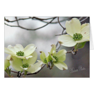 Dogwood branch--add your own words