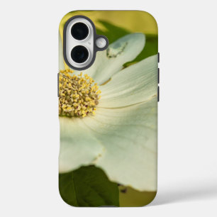Dogwood iPhone 16 Case