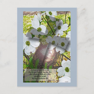 Dogwood Flower and Cross w/John 3:16 Postcard