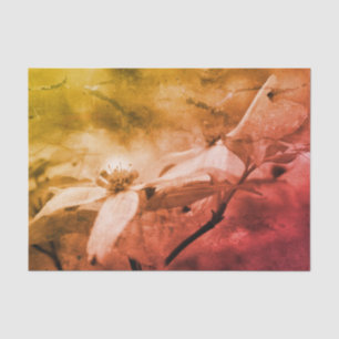 Dogwood Flower Black White Vintage Decoupage Tissue Paper