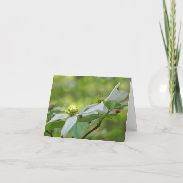 Dogwood Flower Blossoms Personalised  Note Card (Front)