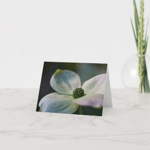 Dogwood Flower Note Card