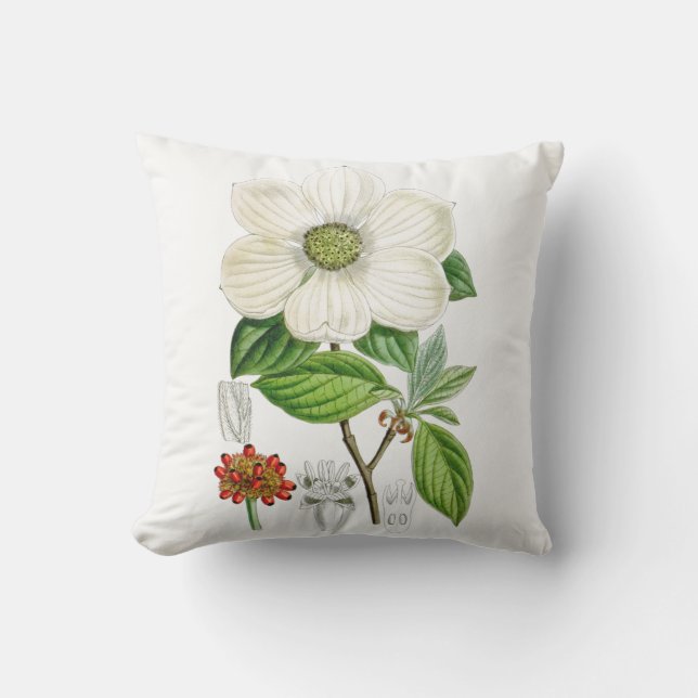Dogwood Flower Outdoor Throw Pillow 16x16 (Front)