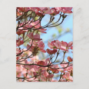 DOGWOOD FLOWERS 10 Cards Art Gifts Mugs Stickers