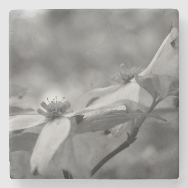 Dogwood Flowers In Black And White Stone Coaster (Front)