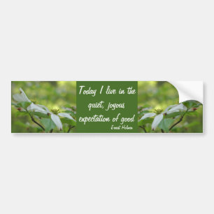 Dogwood Goodness Inspirational Quote Bumper Sticker