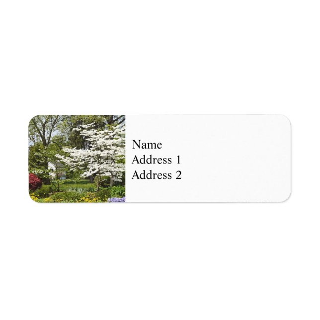 Dogwood in Bloom (Front)