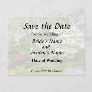 Dogwood in Bloom Announcement Postcard