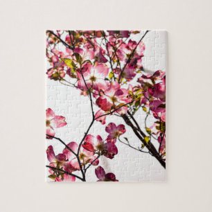 Dogwood in Bloom Jigsaw Puzzle