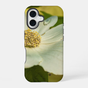 Dogwood iPhone 16 Case
