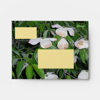 Dogwood Nighttime Fade Envelopes