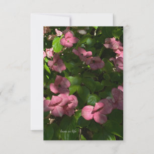 Dogwood Pink Card