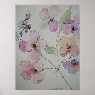 Dogwood Poster