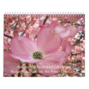 DOGWOOD TREE FLOWERS CALENDAR Spring