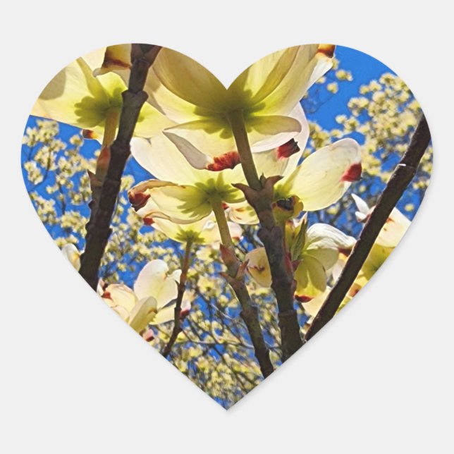 Dogwood Tree Heart Sticker (Front)