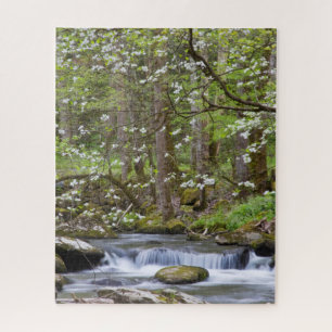 Dogwood Trees   Great Smoky Mountain, Tennessee Jigsaw Puzzle