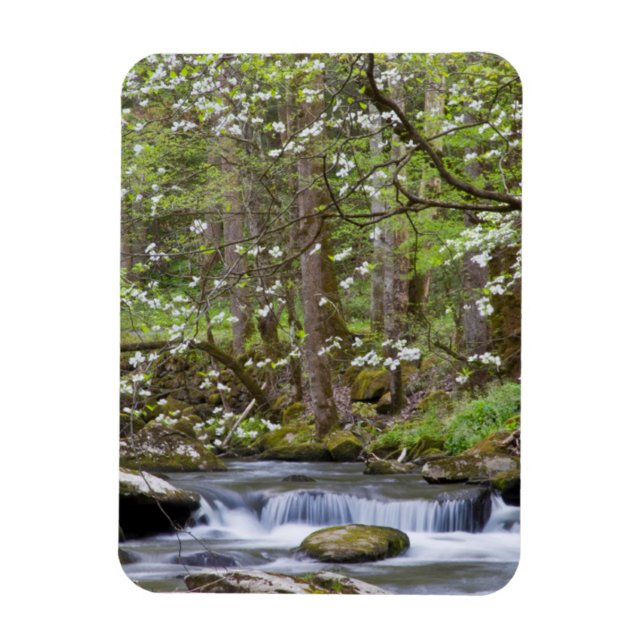 Dogwood Trees | Great Smoky Mountain, Tennessee Magnet (Vertical)