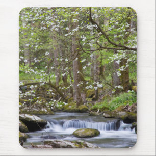 Dogwood Trees   Great Smoky Mountain, Tennessee Mouse Mat