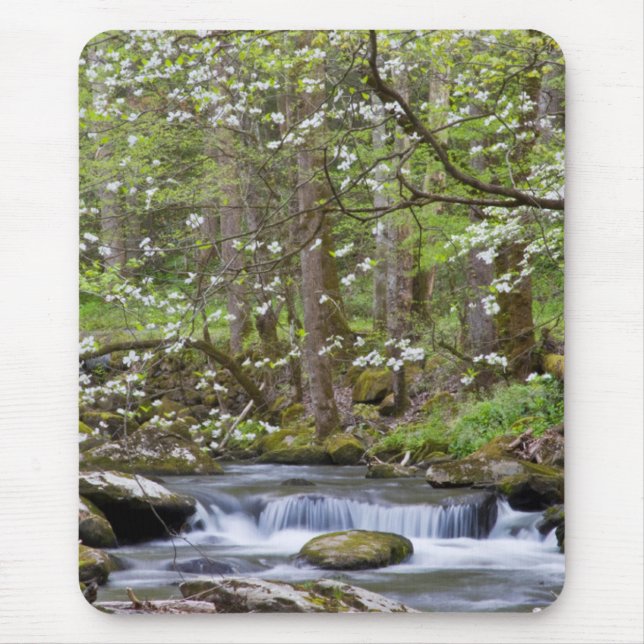 Dogwood Trees | Great Smoky Mountain, Tennessee Mouse Mat (Front)