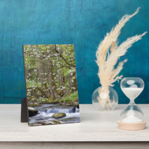 Dogwood Trees   Great Smoky Mountain, Tennessee Plaque