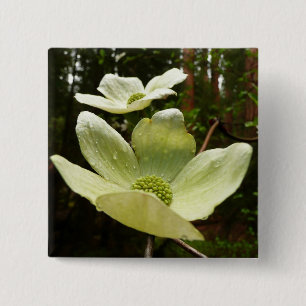 Dogwoods and Redwoods in Yosemite National Park 15 Cm Square Badge